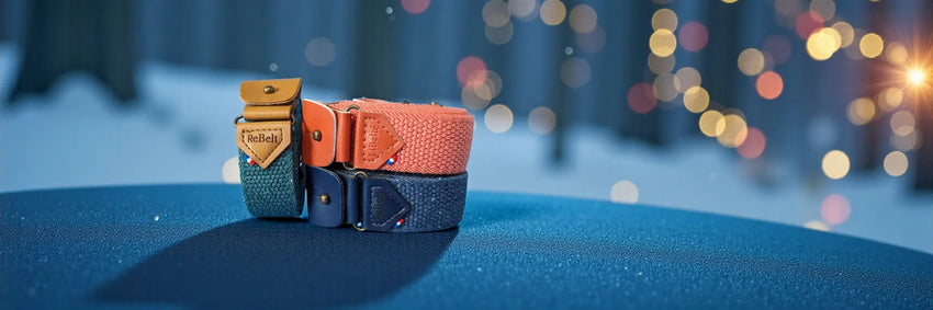 banniere promotion ceinture libelte collection